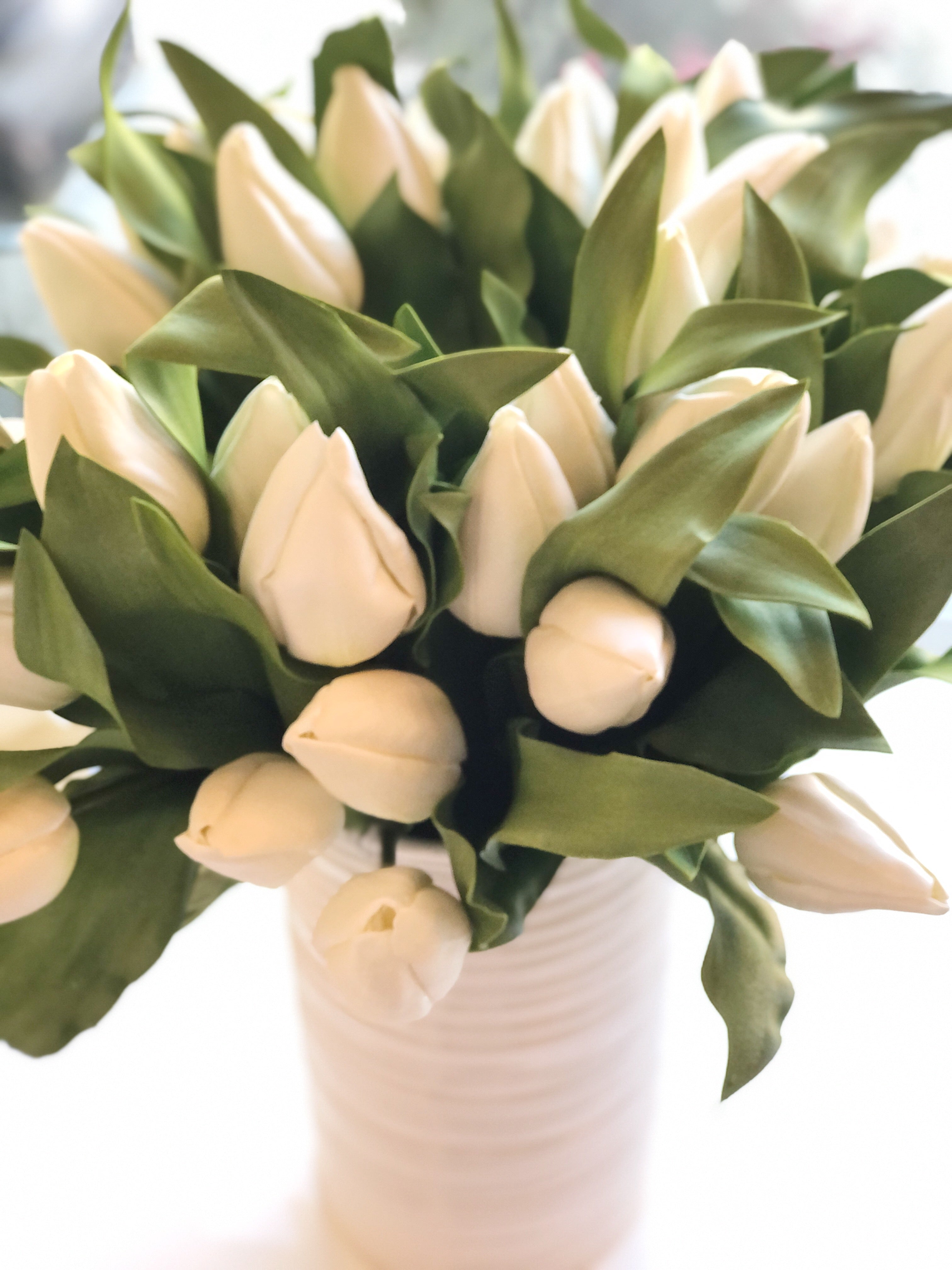 White Tulip Bouquet 13”