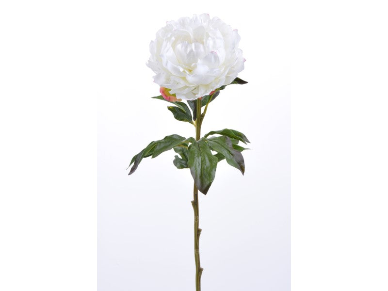 White Peony Stems 26.5”