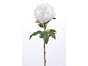 White Peony Stems 26.5”